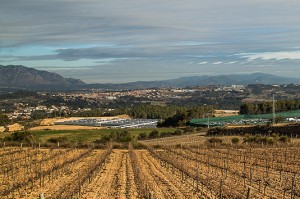 Construcció de moviments de terra.